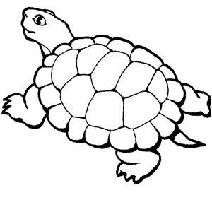 Dibujos infantiles de mascotas: tortuga