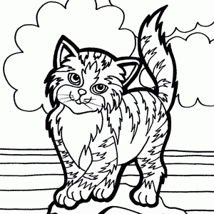 Dibujos infantiles de mascotas: gatos