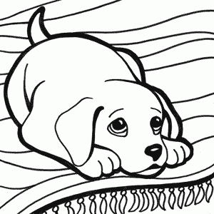 Dibujos de mascotas: cachorro de perro