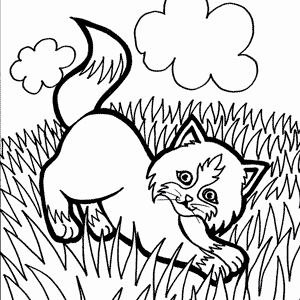 Dibujos de mascotas para colorear: gato