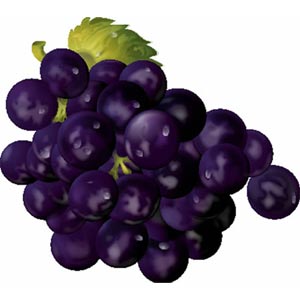 Imágenes de frutas para niños: uvas