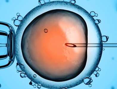 Guía básica sobre la fecundación in vitro