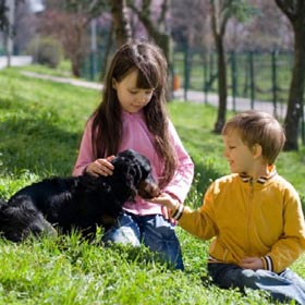 Niños y mascotas