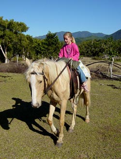 Campamentos de verano